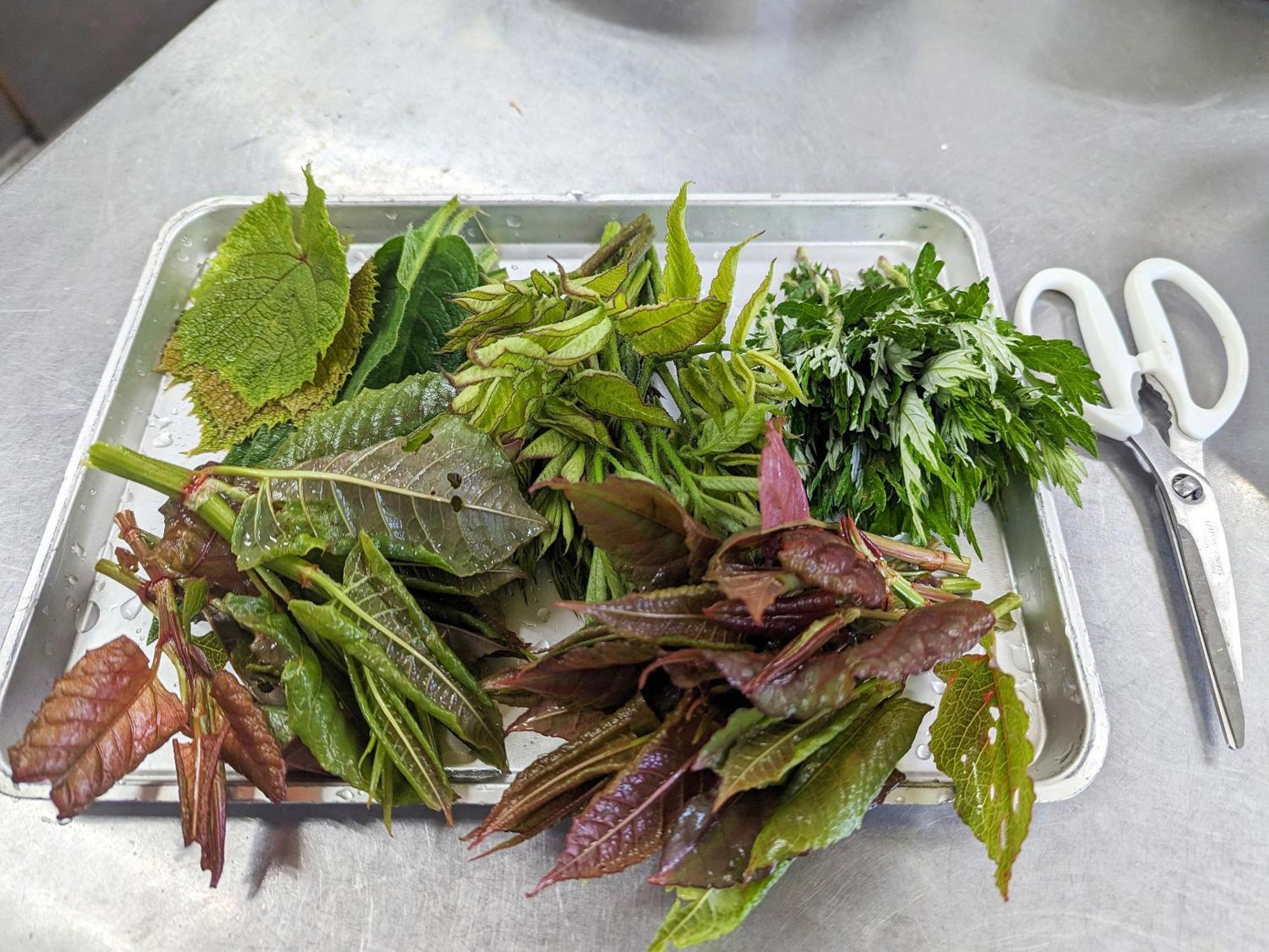 山之內 Oyo旅馆幸之汤志贺高原酒店 外观 照片
